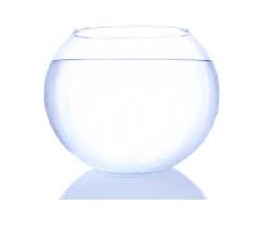 A Simple Fish Bowl